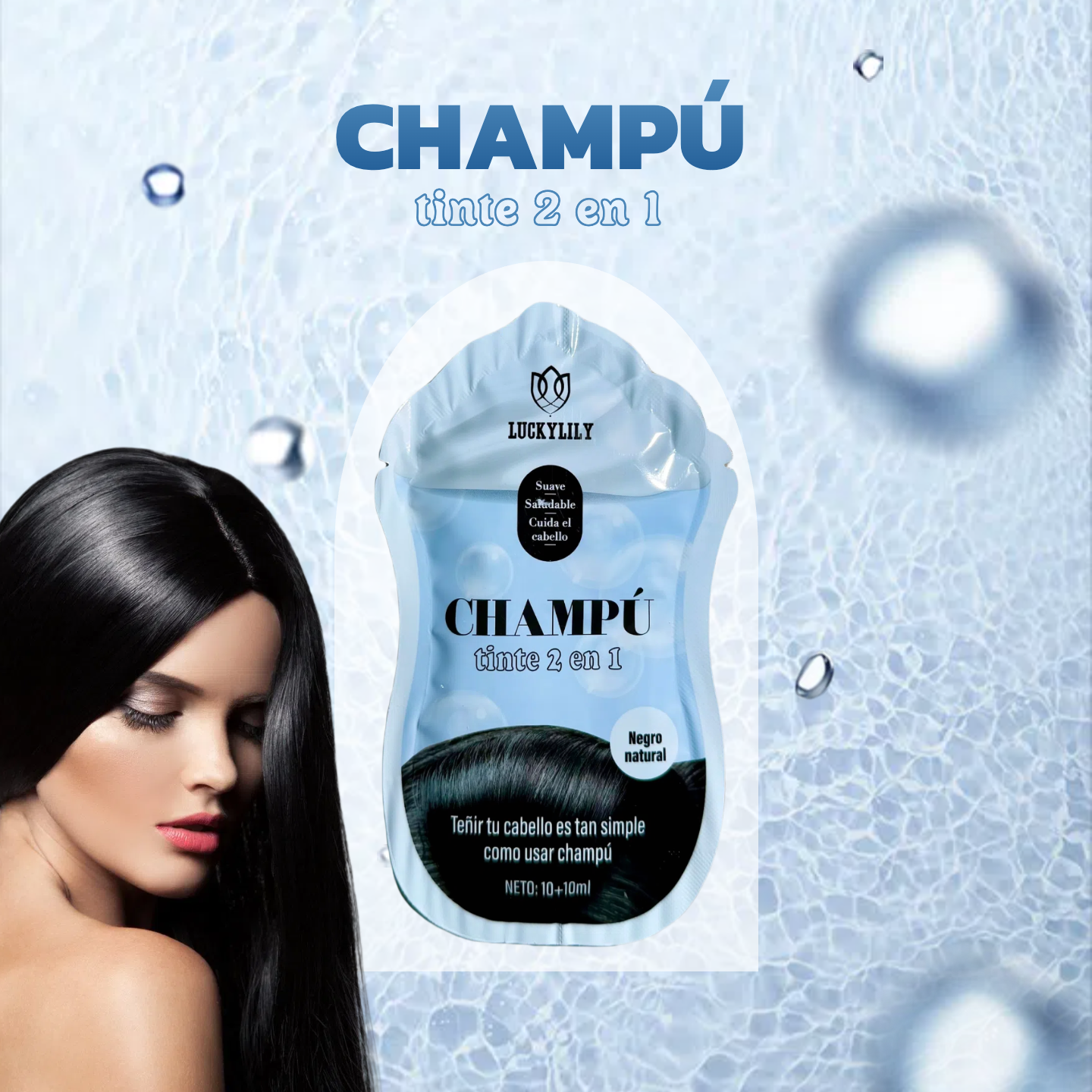 Champú + Tinte (12pz)