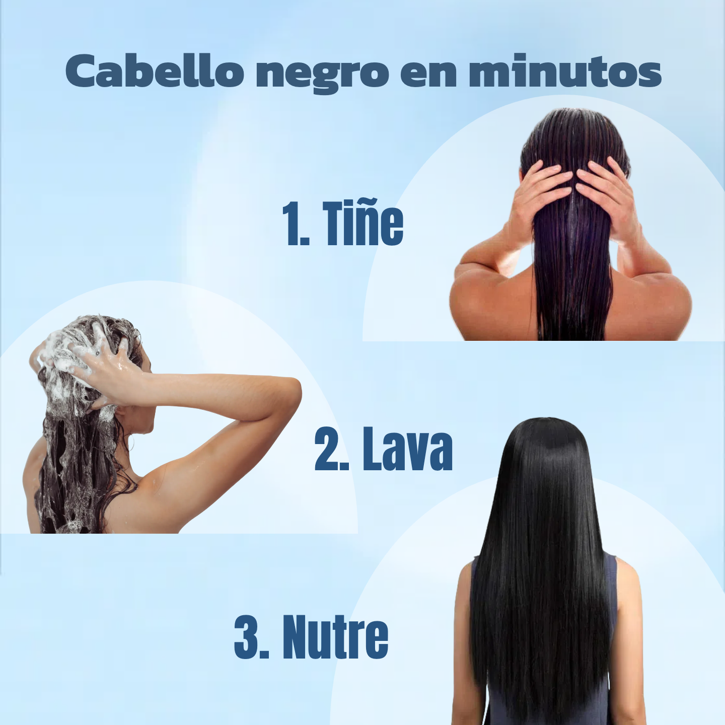 Champú + Tinte (12pz)