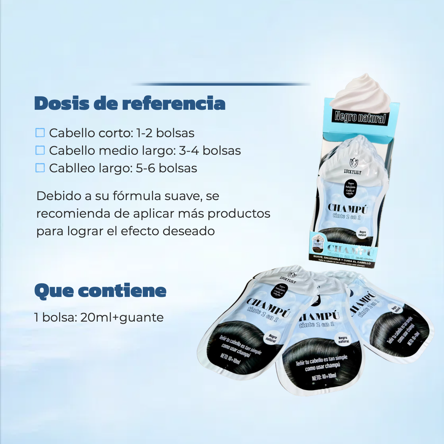 Champú + Tinte (12pz)