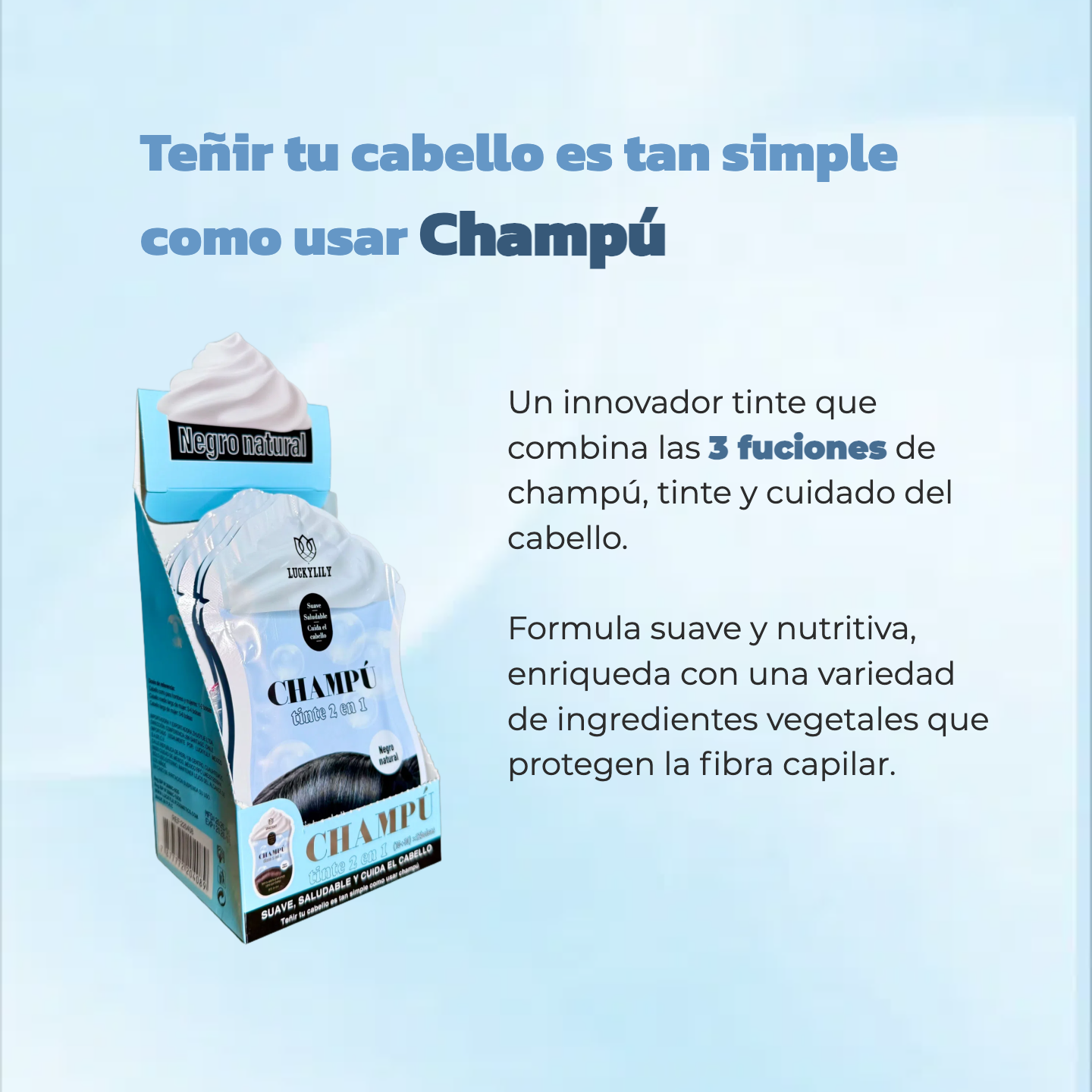 Champú + Tinte (12pz)