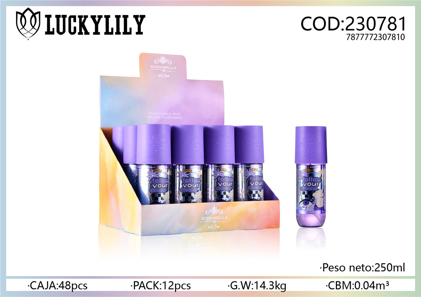 Follow Your Dreams (12pz)