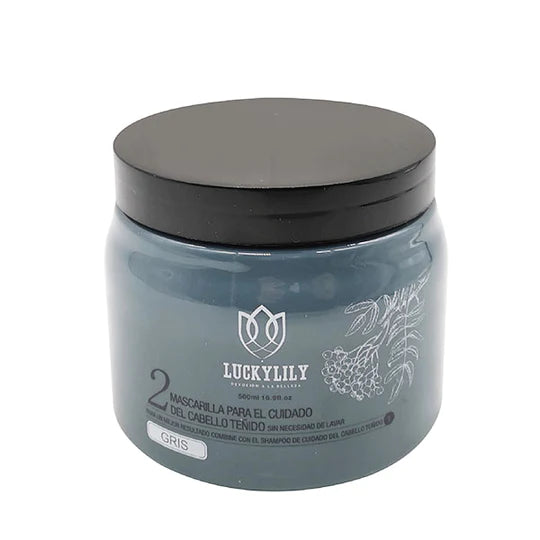 Mascarilla para el Cuidado del Cabello Teñido - Gris Paso 2 (12pz)
