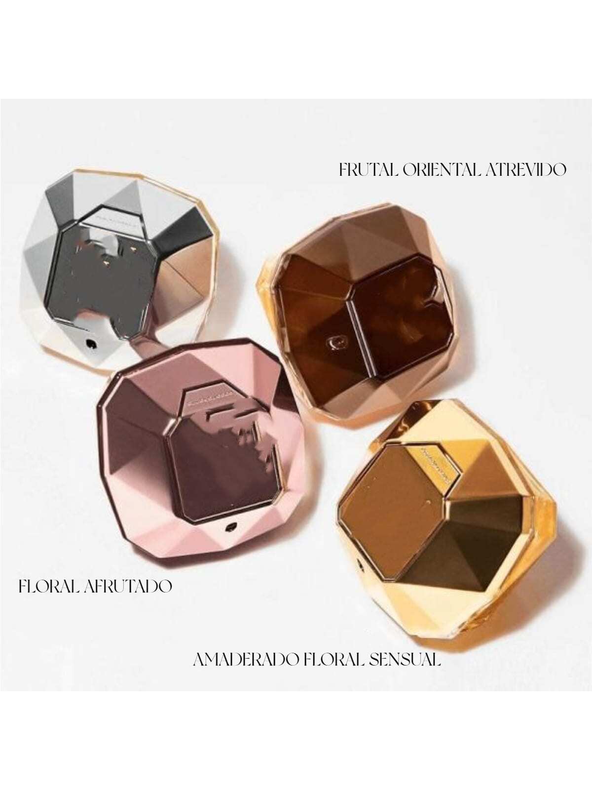 Women Trillion (12pz)