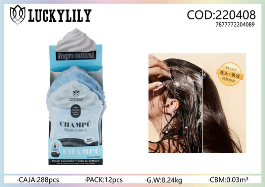 Champú + Tinte (12pz)
