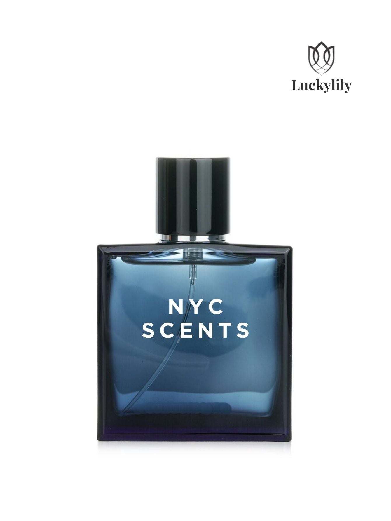 Set Night Lure NYC SCENTS – Luckylily Cosmetics